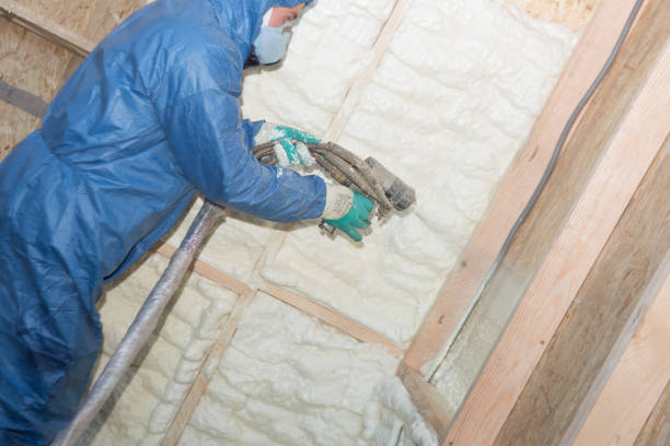 Best Crawl Space Insulation  in Ackley, IA